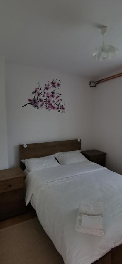 Apartman Deda Rakovica Exterior foto